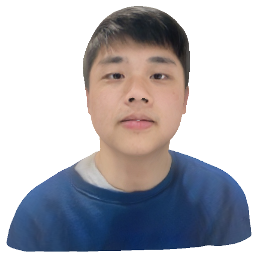 pony-pony-76794-spatial